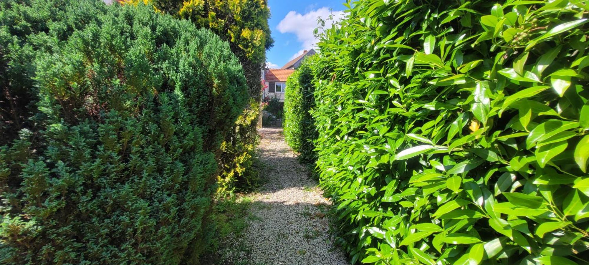 La Maison De L'Abeille De Percey Longeau-Percey Eksteriør bilde